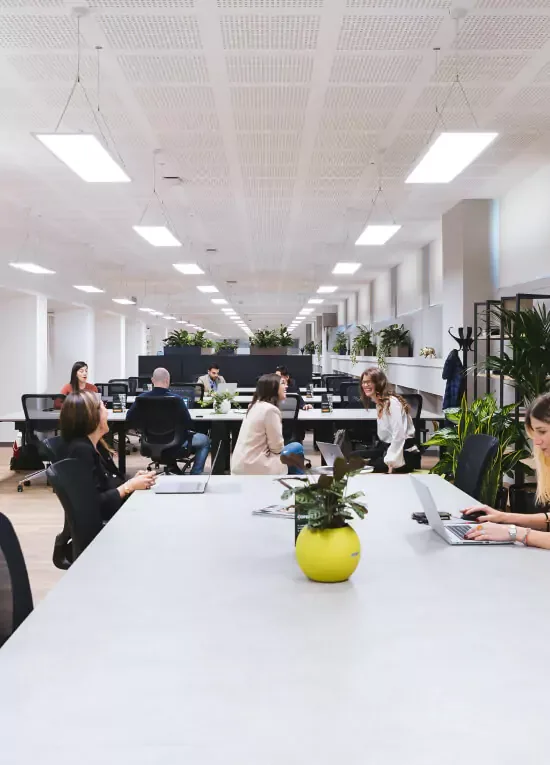 Açık ofiste birlikte çalışan ekip — BrandMind marka danışmanlığı yaklaşımı